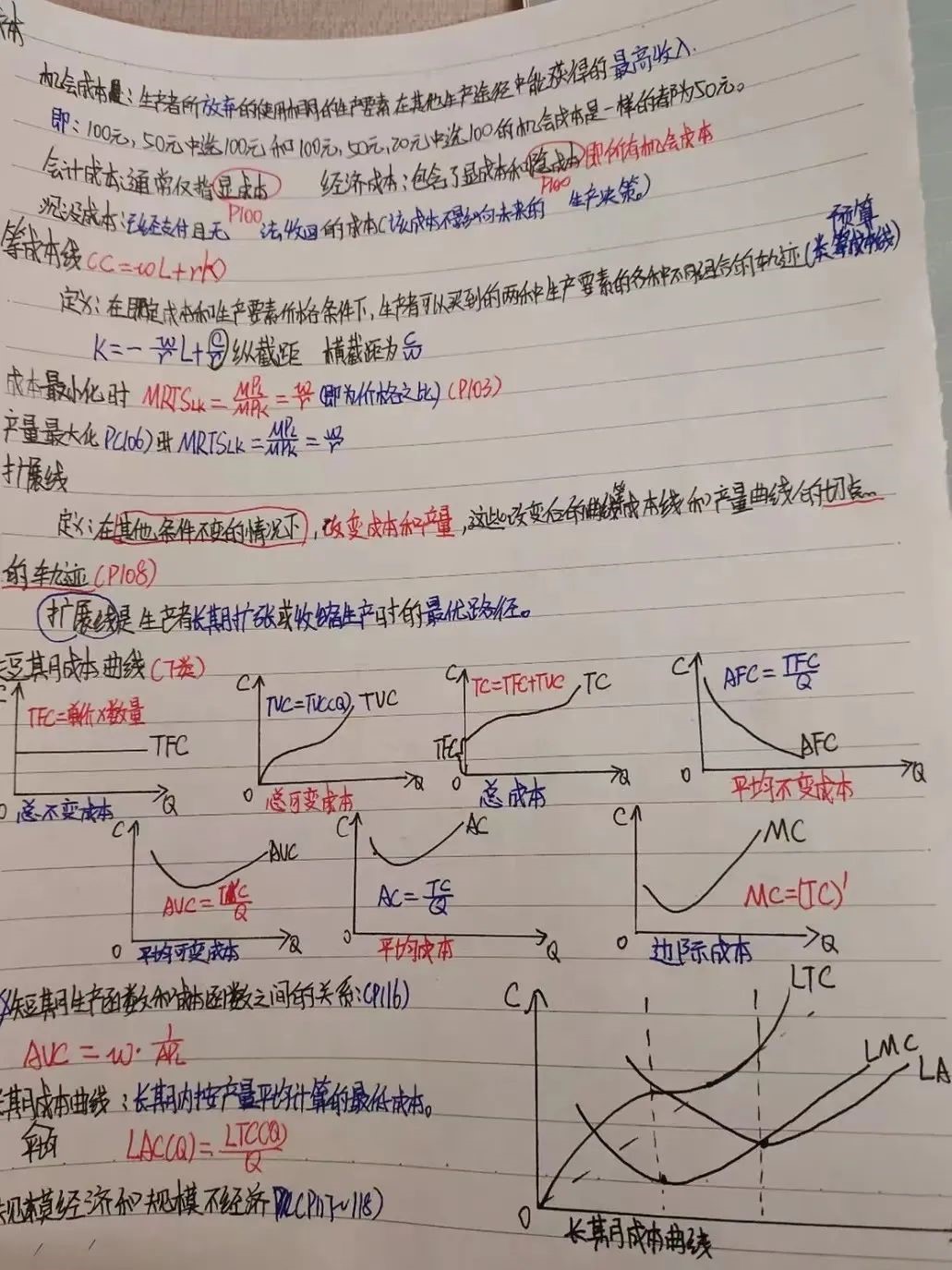 96.jpg
